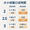 精通大小球盤口：從理論到實戰的全方位分析
