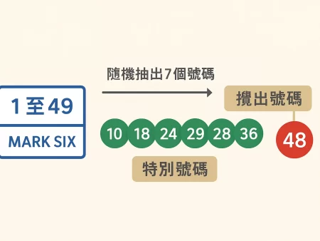 六合彩中獎算法教學｜獎金分配、膽拖玩法與中三個號碼多少錢全解