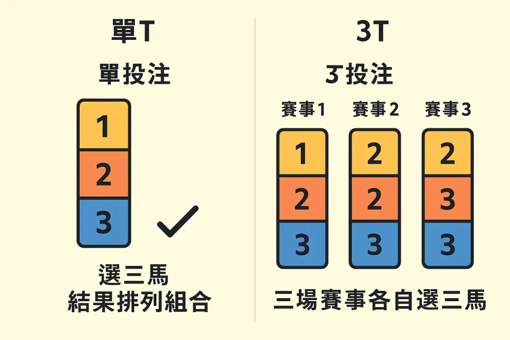 單T與3T賽馬投注結構圖