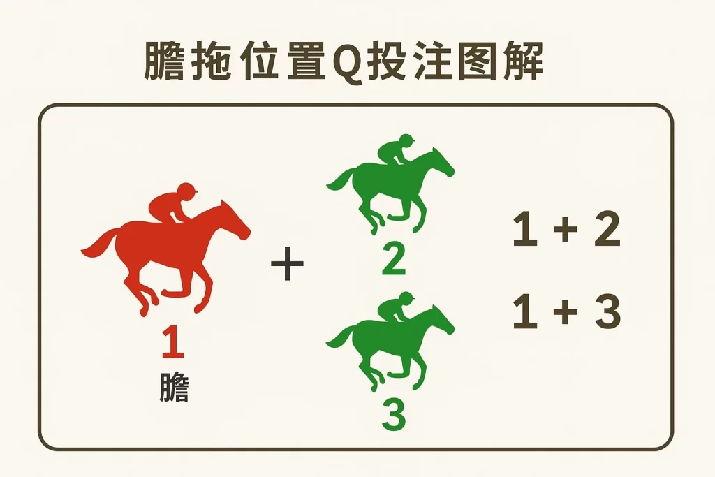膽拖位置Q投注圖解