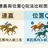 連贏及位置Q投注全攻略｜搞懂玩法分別與下注技巧